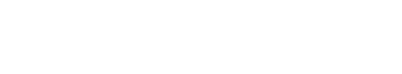 Conselh Generau d'Aran
